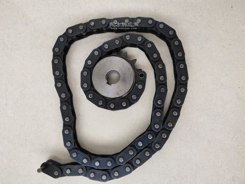 生產(chǎn)廠家供應(yīng)304不銹鋼鏈輪 工業(yè)傳動(dòng)雙排鏈輪齒輪鏈條銷售