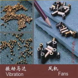 廠家直銷粉末冶金制品含油軸承傳動(dòng)齒輪供應(yīng)商 廣東信宜市星源粉末冶金廠 原中山信興粉末冶金制品廠