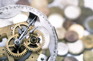 小齒輪，大底氣 揭秘一家不議價(jià)、不售后的齒輪生產(chǎn)企業(yè)